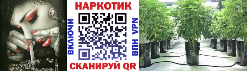 МЕФ Славск