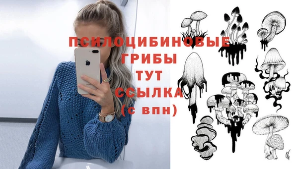 ALPHA-PVP Алзамай