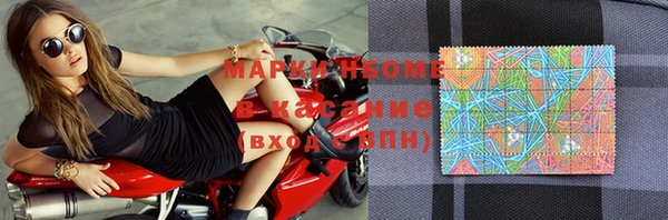 шишки Дмитровск
