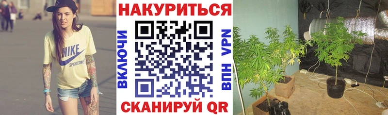закладка  Славск  Шишки марихуана марихуана 